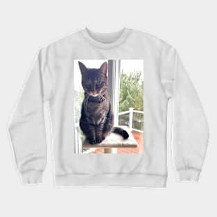 Tabby on a Tower Crewneck Sweatshirt